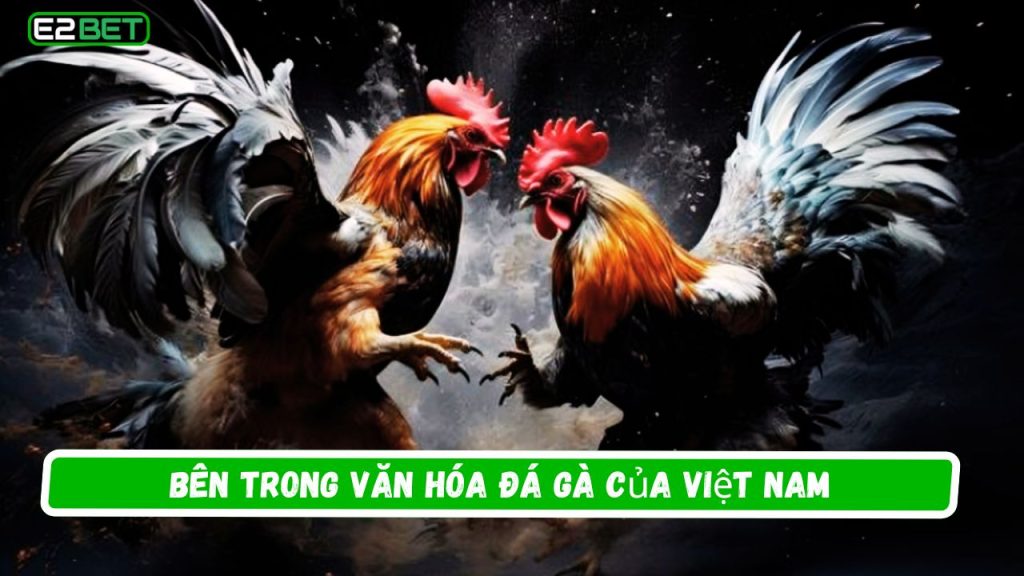 Bên trong văn hóa Đá Gà của Việt Nam