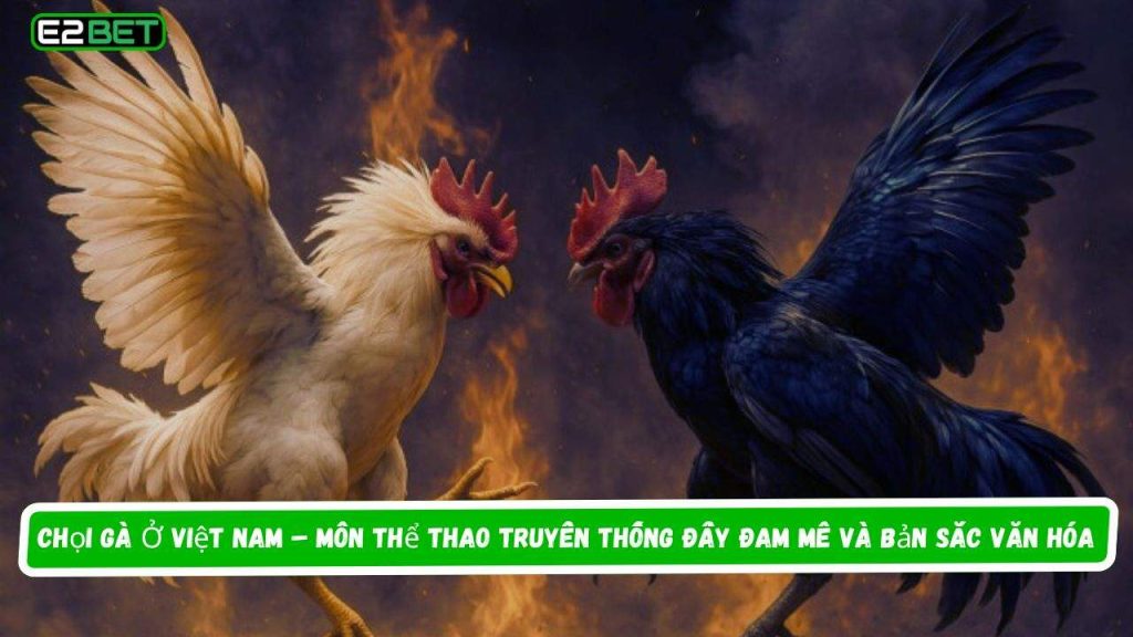 Chọi Gà Ở Việt Nam