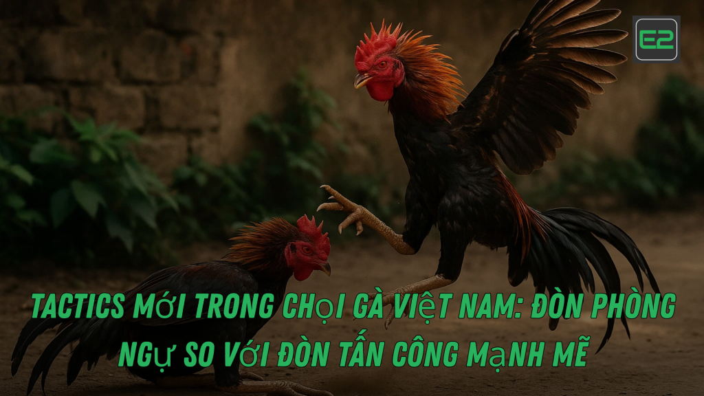 Chọi Gà